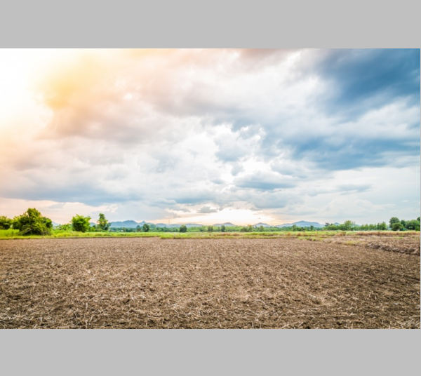 Investment in Dholera SIR - Expert Tips To Secure A Good Land In Dholera