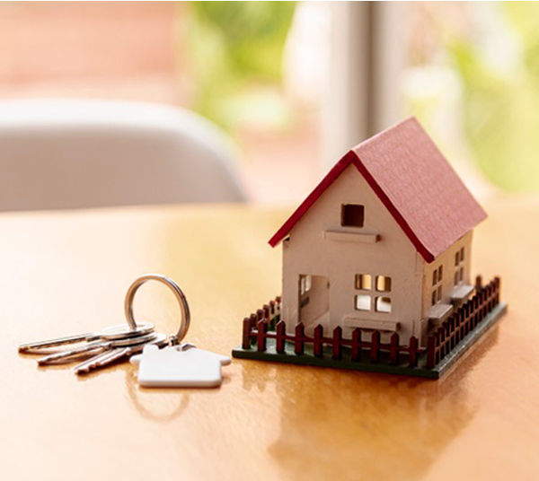Investment in Dholera SIR - Why to Invest in DHOLERA SIR during Lock Down ?